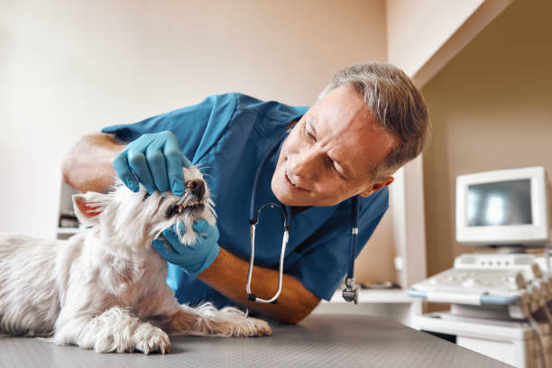 Best Emergency Dental Extractions in Deerfield, IL